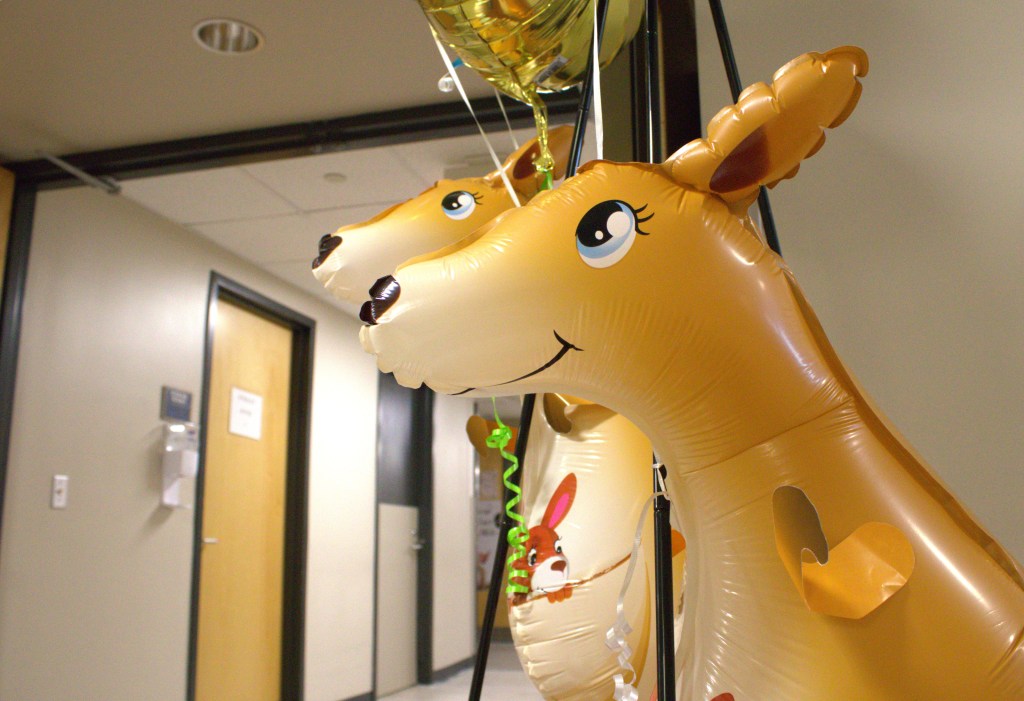 Kangaroo balloons celebrating Kangaroo Care Day float outside the NICU at Cape Fear Valley Medical Center